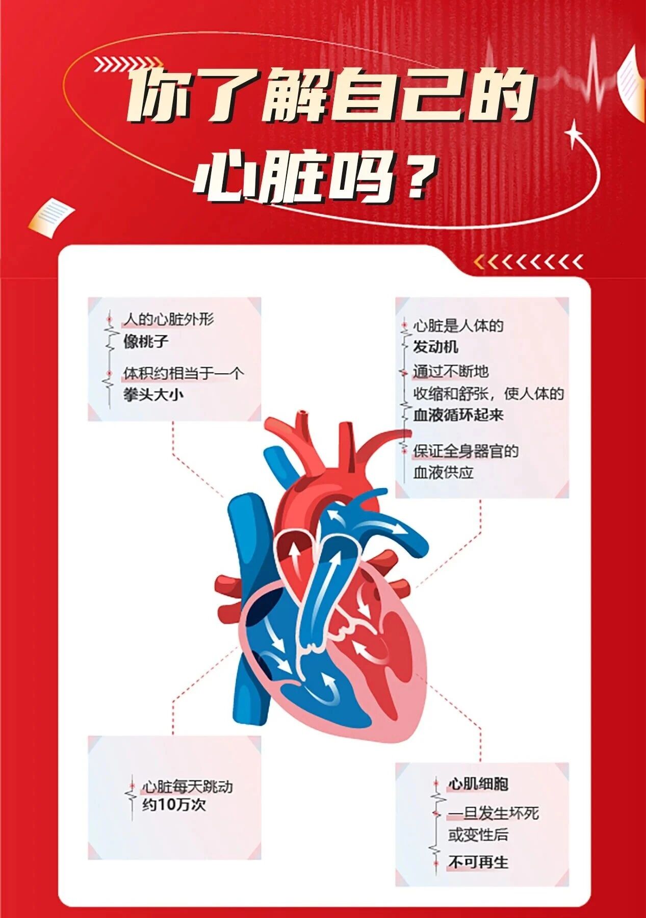 微信图片_20251002104402_971_46.jpg
